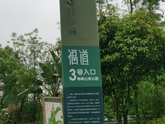 -福道