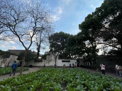 -绍兴鲁迅故里·沈园景区