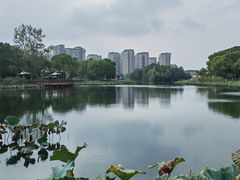 -新江湾城公园
