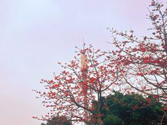 -喜洲吧·江畔老船厂·庭院餐厅(喜临院店)