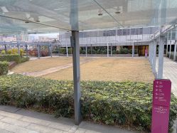 -皇冠瑜伽·普拉提·疼痛康复