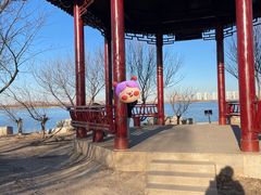 -天津东丽湖风景区