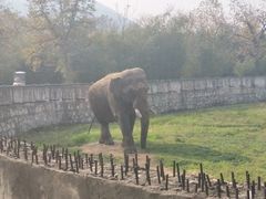 -西安秦岭野生动物园