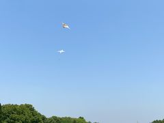 -艾溪湖湿地公园
