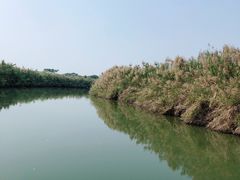 -大湾区中央湿地公园