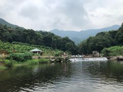 -广州市石门国家森林公园