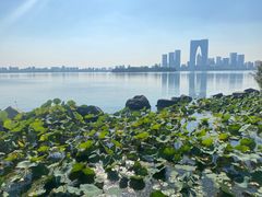 -吴越荣记苏州菜·松鼠桂鱼(月光码头店)