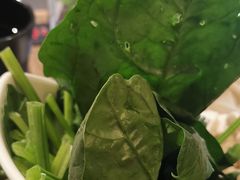 -新辣道鱼火锅(世纪金源购物中心店)