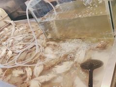 -钱小奴创意自助餐厅·原切谷饲安格斯畅吃(苏州昆山招商花园城店)