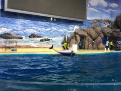 -福州罗源湾海洋世界旅游区