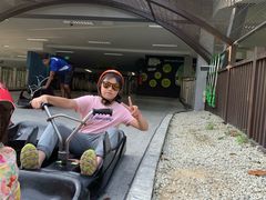 -圣淘沙天际线斜坡滑车
