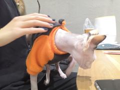 -藏猫猫咖啡主题馆(中央大道店)