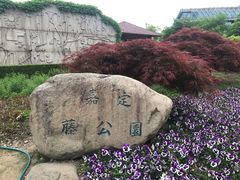 -嘉定紫藤园