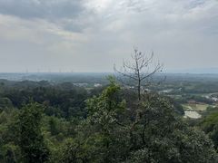 -浏阳石牛寨风景区