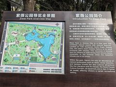-紫薇公园