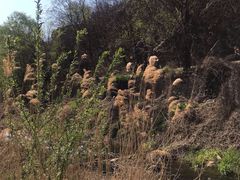 -碓臼峪自然风景区