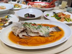 清蒸青衣鱼-皇朝会.经典传统粤菜(外滩店)