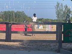 -北京群众马术培训基地