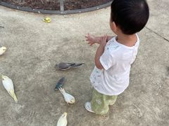 -芜湖新华联大白鲸海洋公园