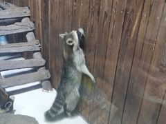-海合安青岛极地海洋公园