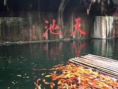 -千岛湖东南湖区