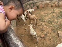 -石家庄市动物园