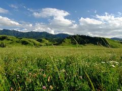 -新疆那拉提国家旅游度假区