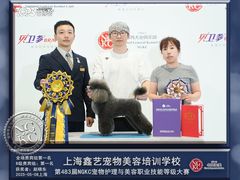 -鑫艺宠物美容培训学校