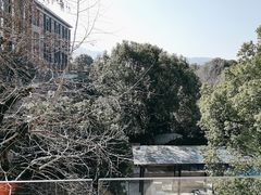 -逸廊大堂吧-下午茶·简餐-千岛湖自由洲际殿