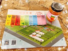 -前小桔亲子创意农场·草莓采摘·露营烧烤