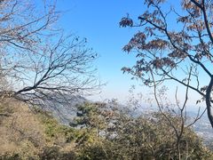 -香山公园