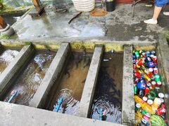 -源泉冷水鱼庄(小鱼洞店)