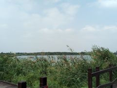 -西青郊野公园