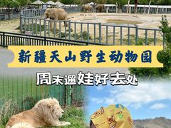 -新疆天山野生动物园