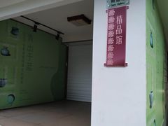 -浙江省博物馆(孤山馆区)