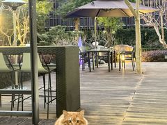 -上海虹桥宾馆味翠餐厅