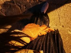 -兴旺欧韩城(上海兴旺国际服饰城店)