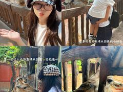 -长鹿旅游休博园