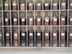 -MAMACHA妈妈茶(海信店)