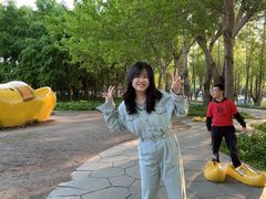 -长春公园(普阳街道)