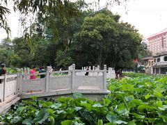 -莲湖公园