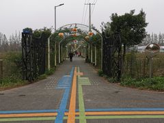 -上海长兴岛郊野公园