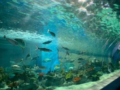 -常州海昌海洋探索馆