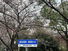 -堤角公园