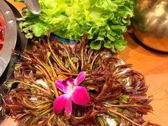 -山城棒棒军手作火锅·天花板手撕水牛鲜毛肚(北京店)