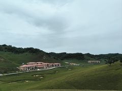 -关山草原
