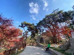 -崂山仰口游览区