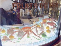 -壳里西餐厅Coquille Seafood Bistro(蒙自路店)