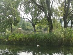 -成飞公园