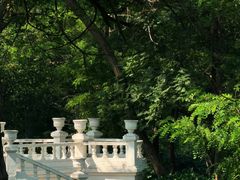 -沈阳植物园